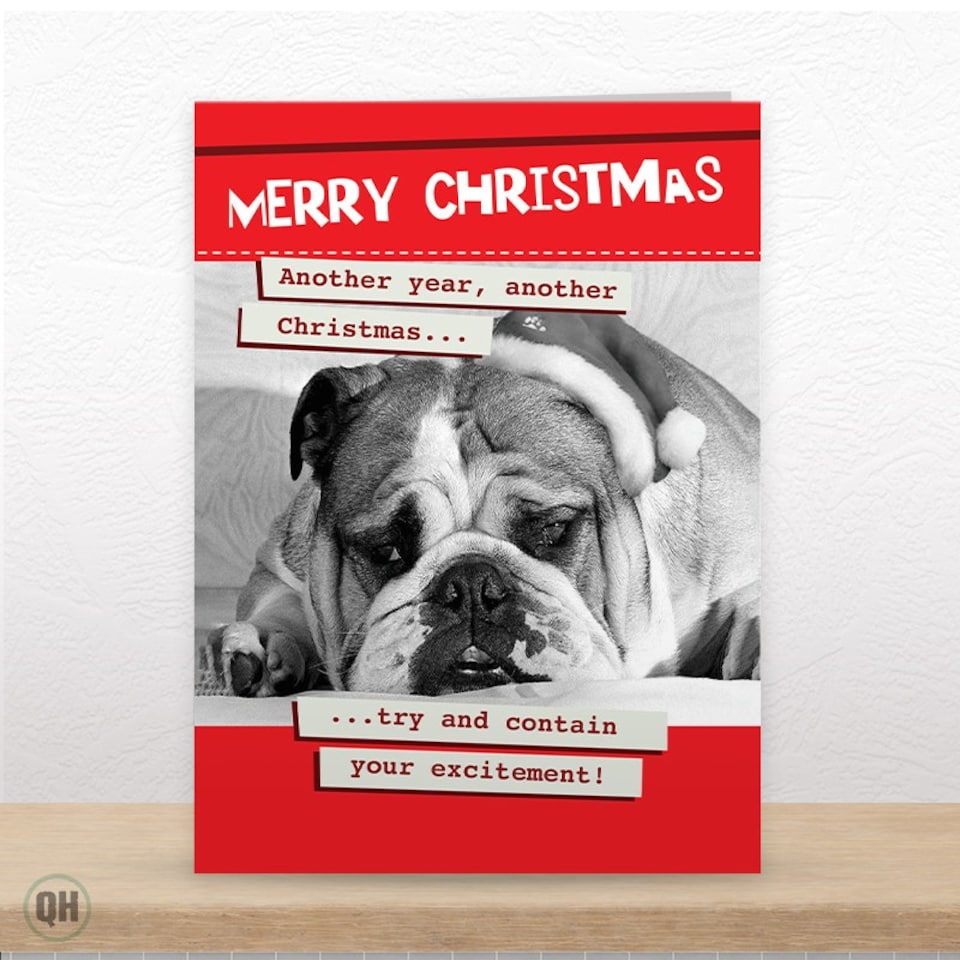 image 1 of Another Year Another Christmas... - Funny Christmas Card