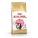 image 4 of Royal Canin Cat Persian Kitten 4KG