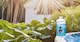 image 3 of 2Kg Deep Blue Pro Rapid Shock Chlorine Granules quick acting for hot tubs, spas and swimming pools