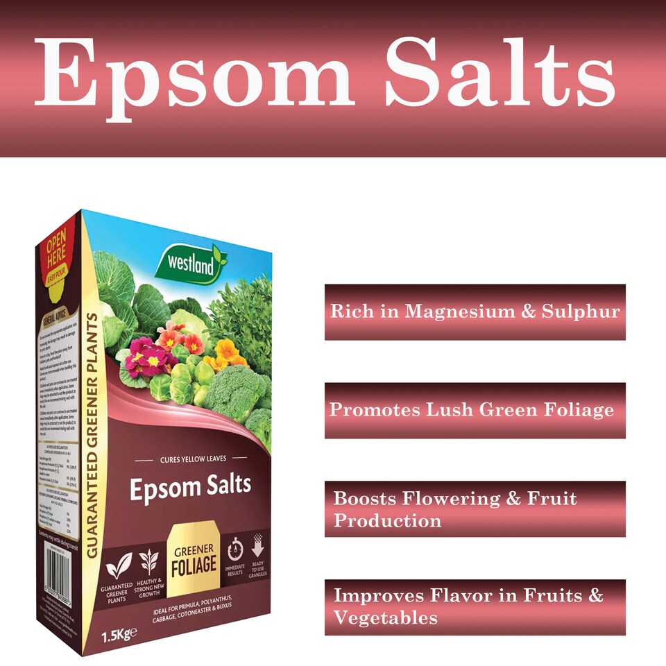 image 1 of Westland Epsom Salts 1.5kg Magnesium & Sulphur Fertilizer for Lush Green Foliage Flowers Vegetables and Healthy Plants