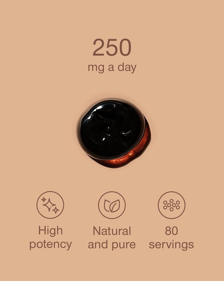 image 1 of SuperSelf Pure Shilajit Resin 20g