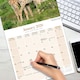 image 5 of African Wildlife 2026 Calendar | Square Wall Calendar | Animal Gift | Plastic Free Packaging | by Avonside Publishing