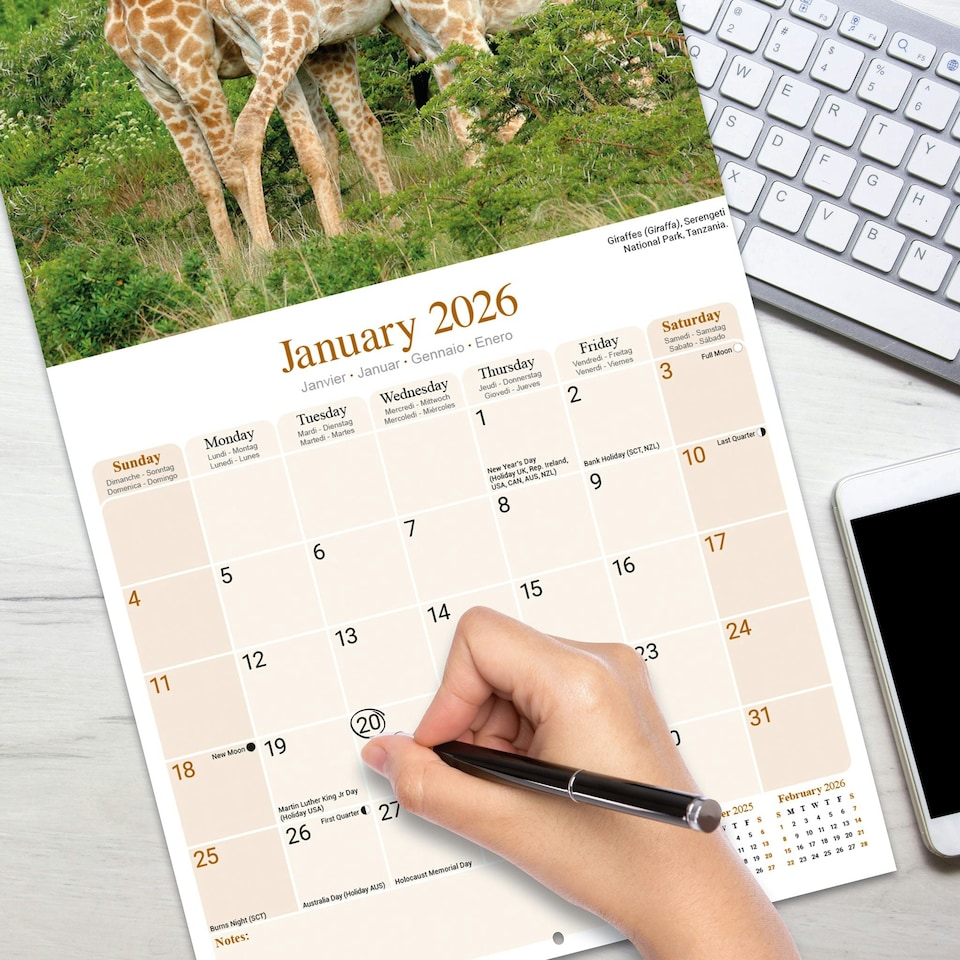 image 1 of African Wildlife 2026 Calendar | Square Wall Calendar | Animal Gift | Plastic Free Packaging | by Avonside Publishing
