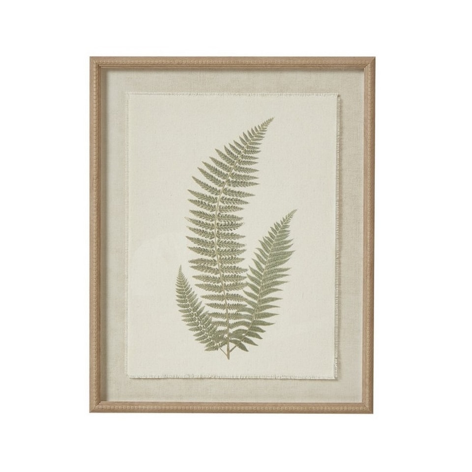 image 1 of Fern Art on Texture-Torn Paper with Beaded Frame - Glass - L2 x W40 x H50 cm - White | Brown | Not provided