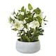 image 2 of Hill Interiors Hellebore Artificial Potted Plant - White/Grey - 41cm x 33cm x 38cm