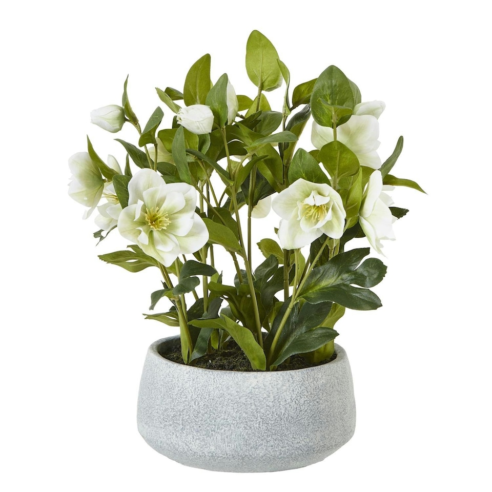 image 1 of Hill Interiors Hellebore Artificial Potted Plant - White/Grey - 41cm x 33cm x 38cm