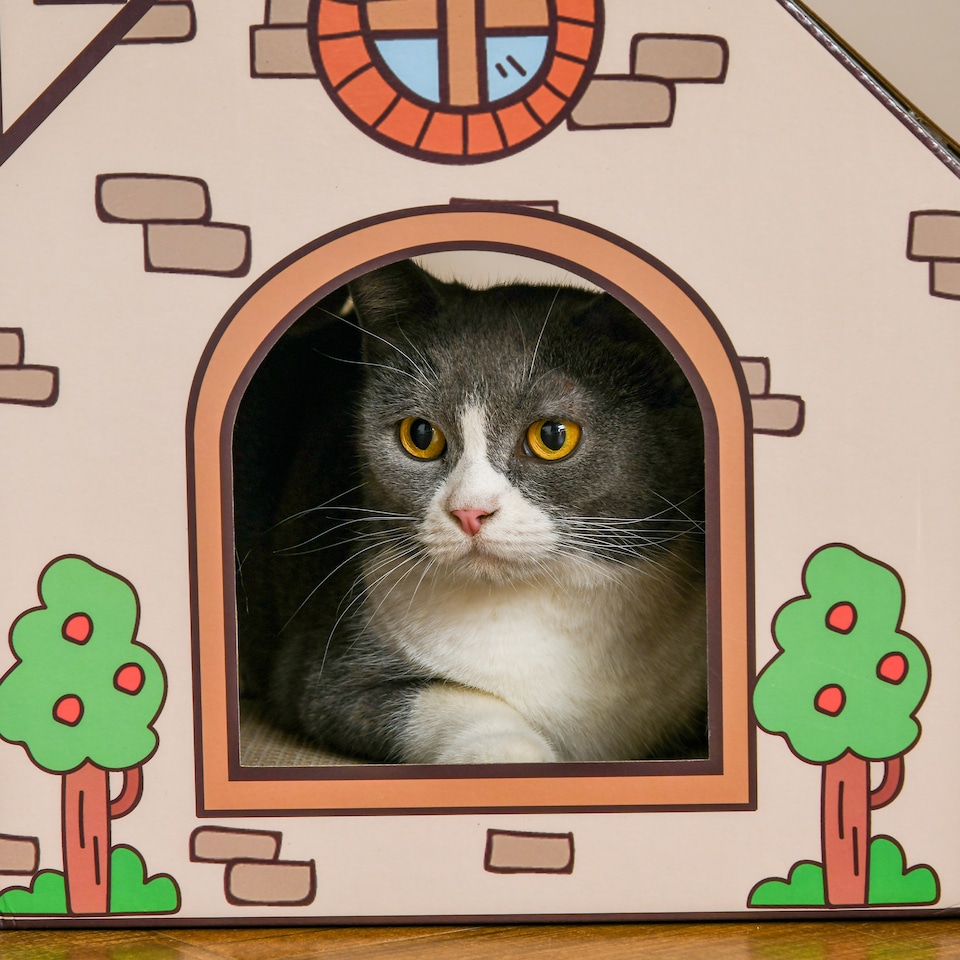 image 1 of PawHut Cat House Scratcher, Recyclable Cardboard with Catnip, Red Roof