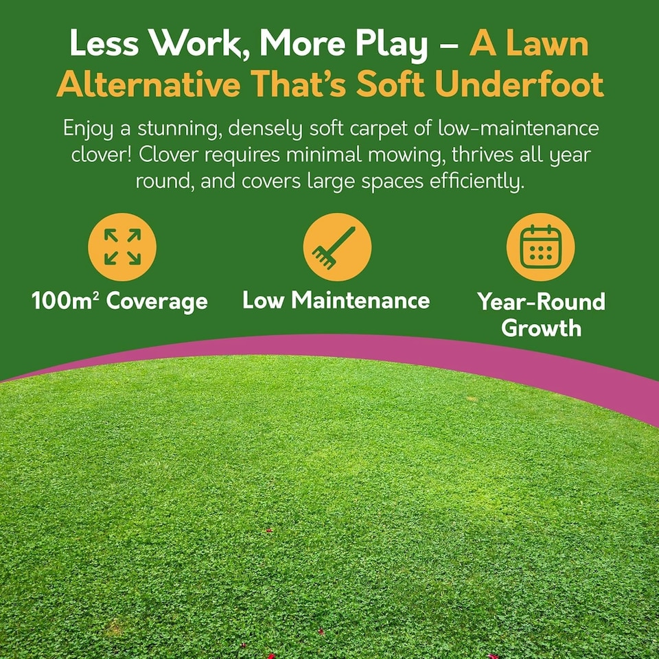 image 1 of Pronto Seed Clover Seed for Lawn UK - White Clover 500g - 50m2 Coverage