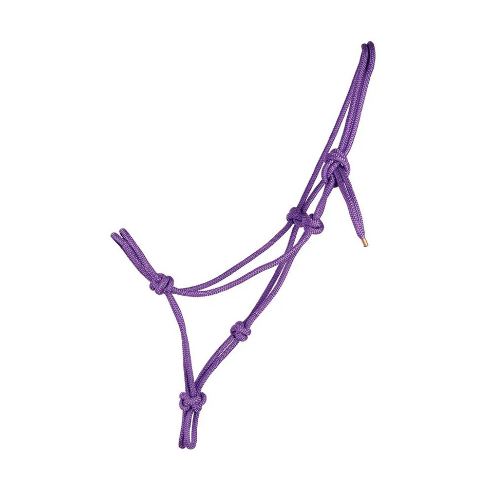 Hy Rope Halter - Purple - One Size