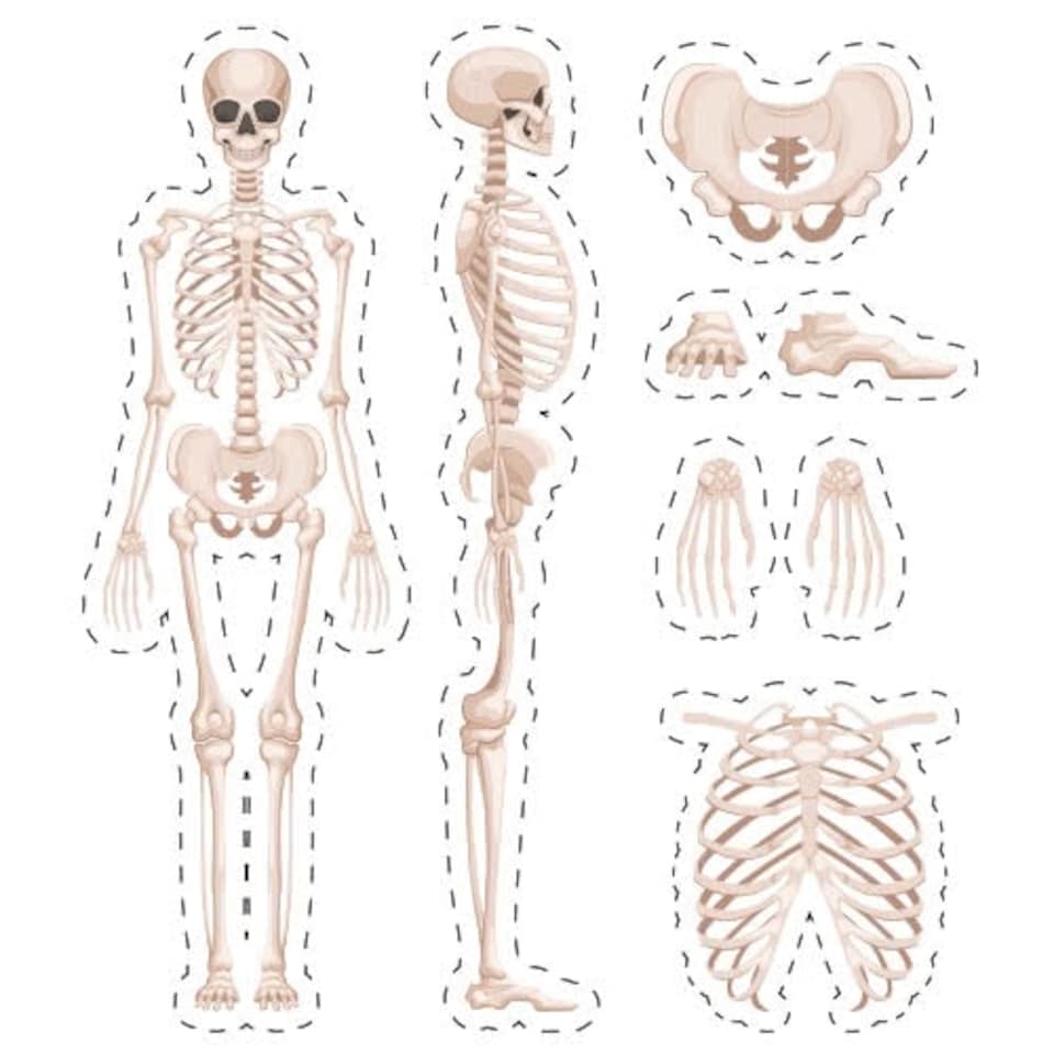 Halloween Skeleton Cutting Sheet PVC Party Sign Decoration 133cm x 133cm