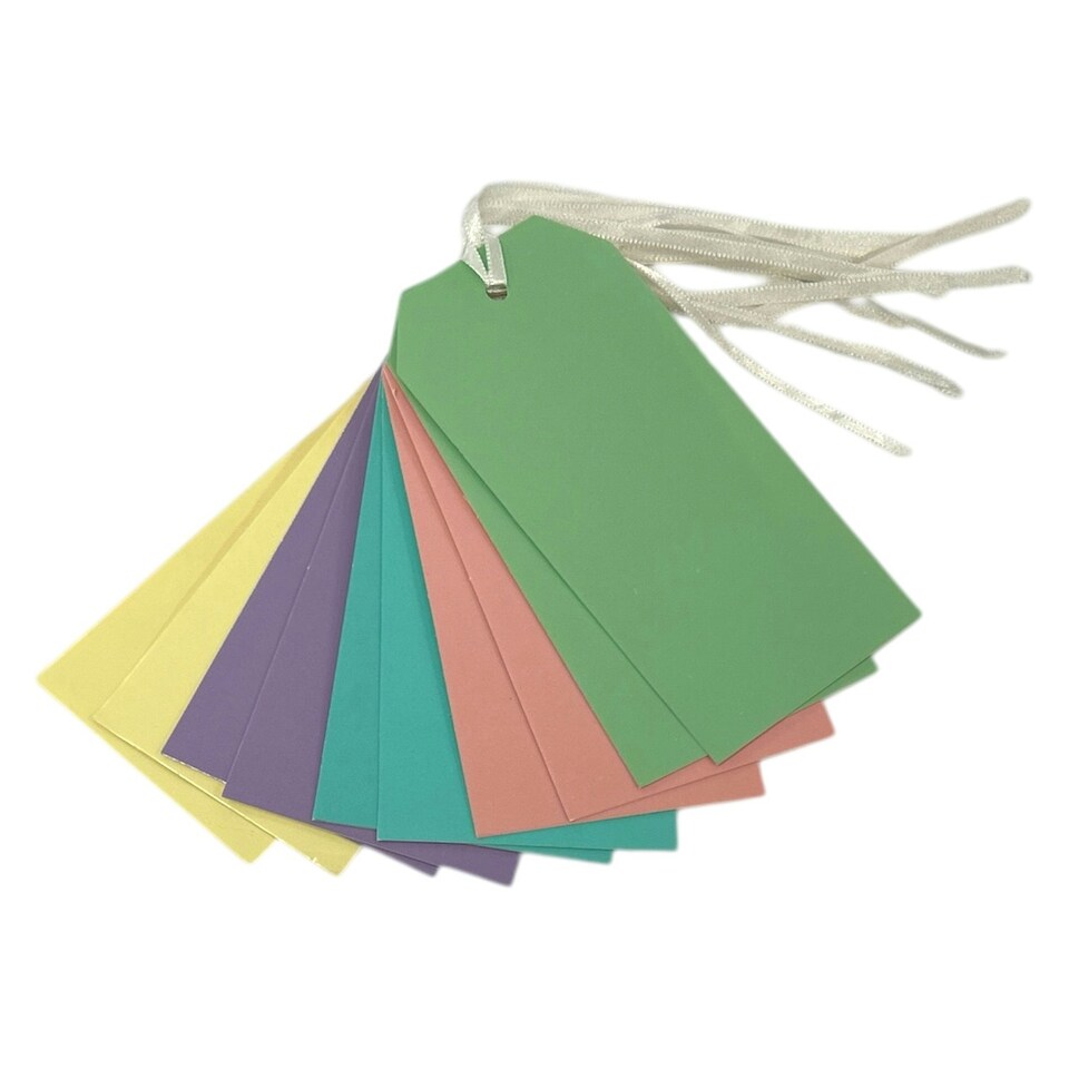 image 1 of Pack of 10 Assorted Pastel Colour 120x60mm Strung Tags