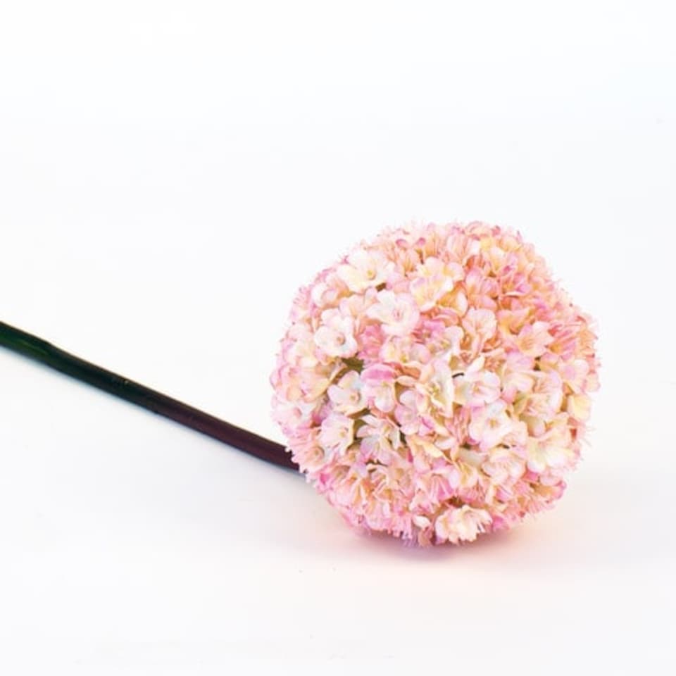 image 1 of Pink Allium Artificial Flower Decoration 57cm