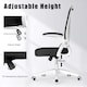 image 7 of Rattantree Ergonomic Office Chair with Flip Up Armrests & Lumbar Support