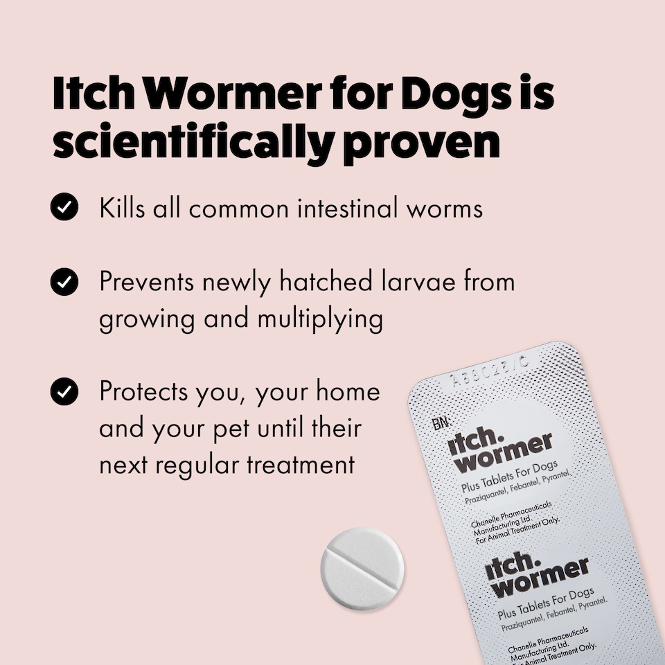 image 1 of Itch Flea Medium Dog Flea and Tick Treatment and Wormer Bundle
