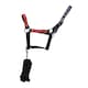 image 1 of Hy Thelwell Collection Balancing Act Head Collar & Lead Rope - Red/Navy - Pony