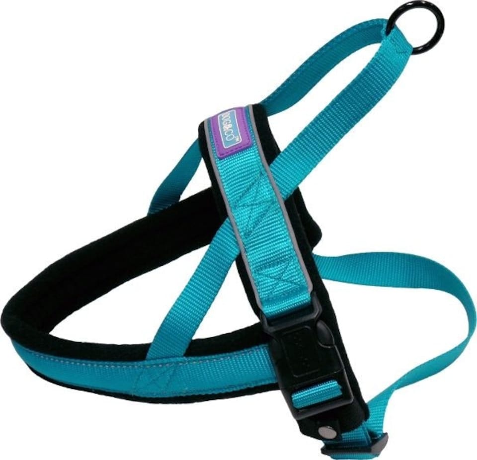 Dog & Co Nylon Norwegian Harness Reflective Aqua Med