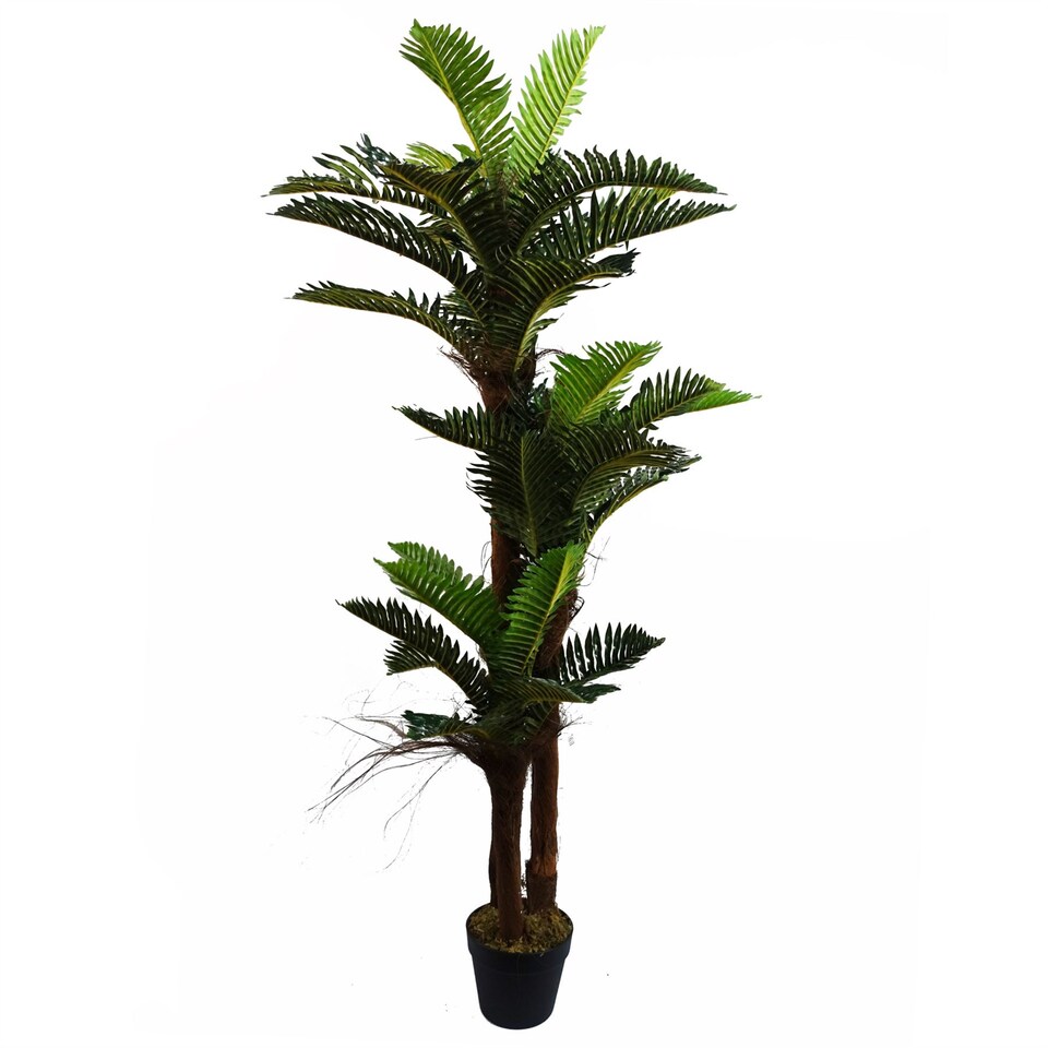 image 1 of Artificial Large Palm Tree with Natural Trunk 150cm  - Realistic plant by Botanik | Green | 5ft