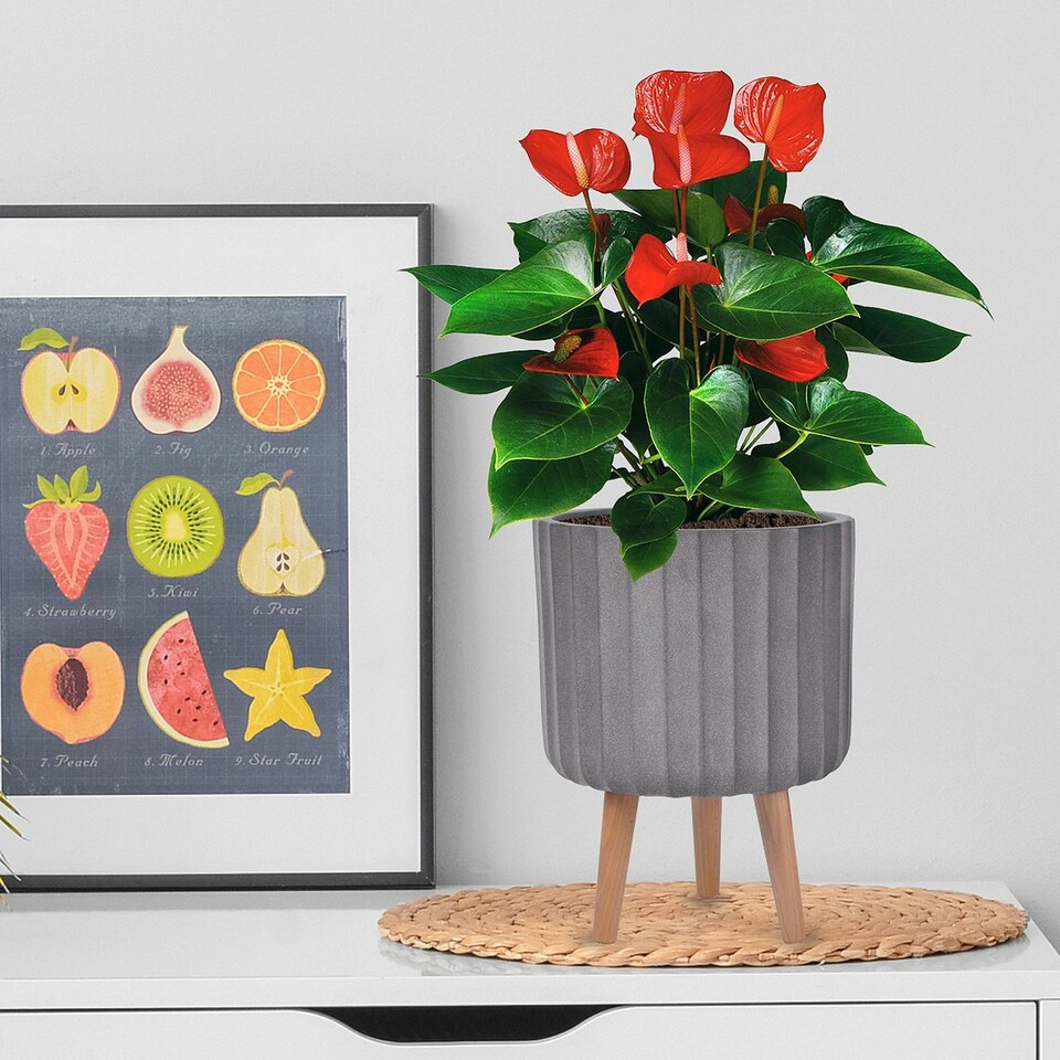 image 1 of Modern Ribbed Taupe Cylinder Planter on Legs, Round Pot Plant Stand Indoor D24 H32 cm, 7.6 ltrs Cap.