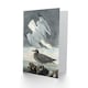 image 2 of John James Audubon Art Card Birds of America Herring Gull