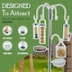 image 3 of Wild Bird Feeding Station Garden Water Bath, Table, Hanging Feeder & Stabilizer