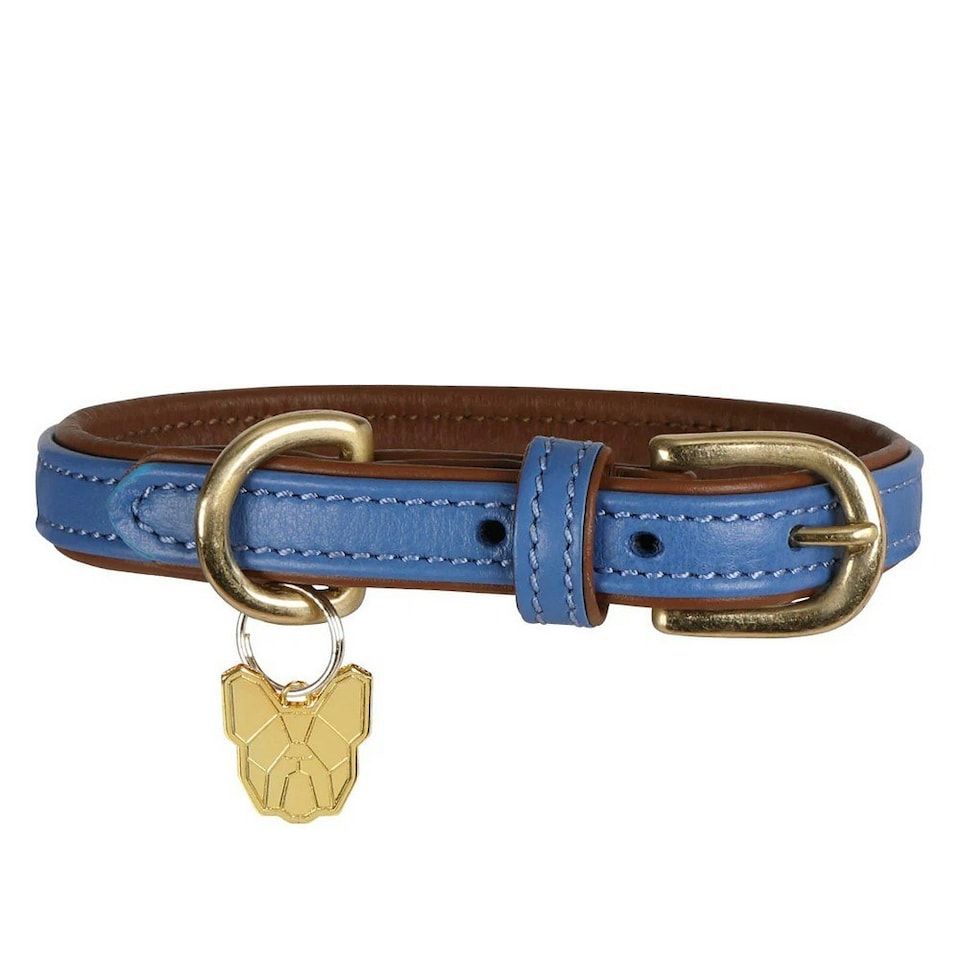 Digby & Fox Leather Padded Dog Collar - Royal Blue - XS - Neckline: 29cm-34cm