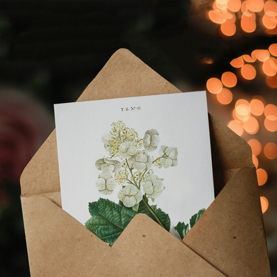 image 1 of Pierre-Joseph Redouté Art Card Oakleaf Hydrangea Flowers