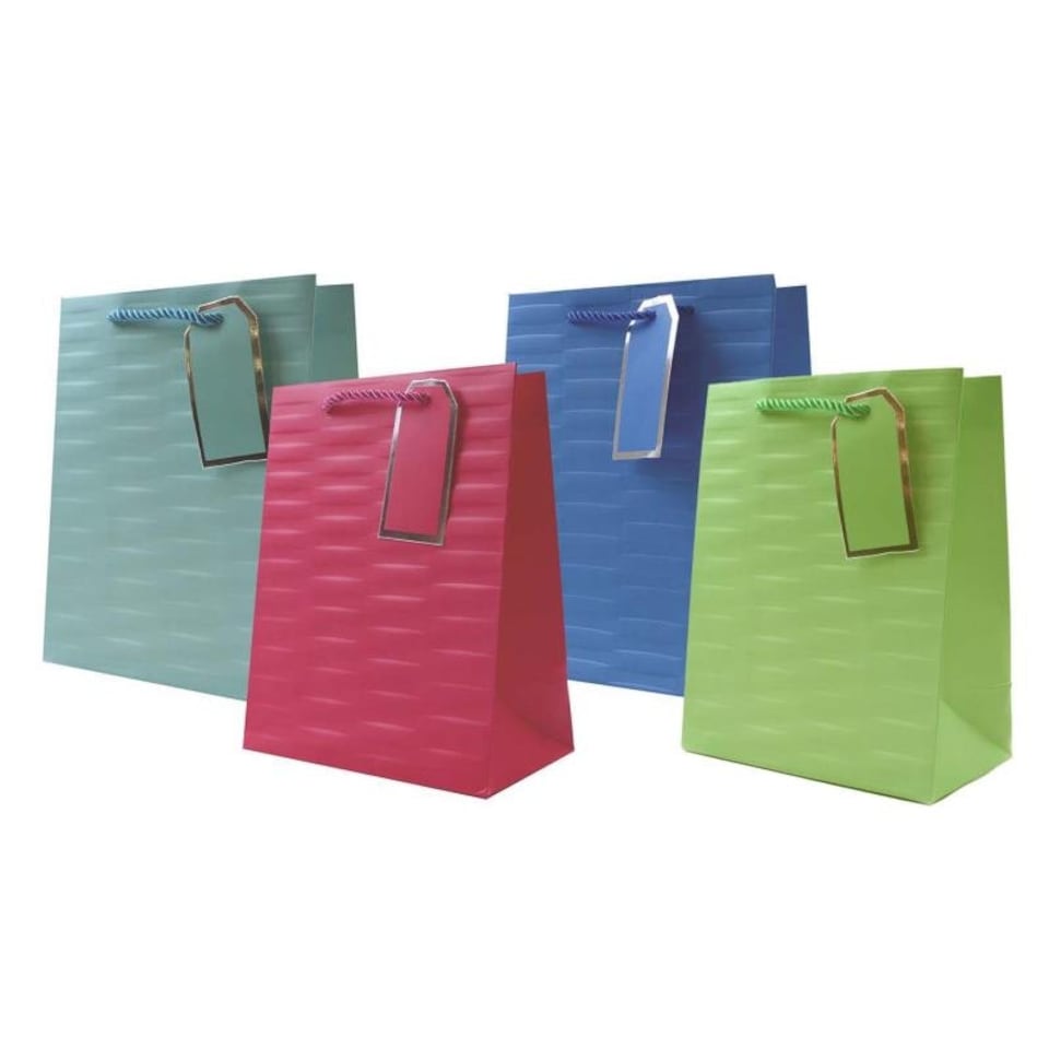 image 1 of Embossed Bright Coloured Medium Gift Bag