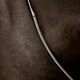 image 3 of LeMieux Rubber Half lined Reins Brown | Pony