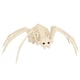 image 1 of Spider Skeleton Halloween Plastic Prop Decoration 35cm