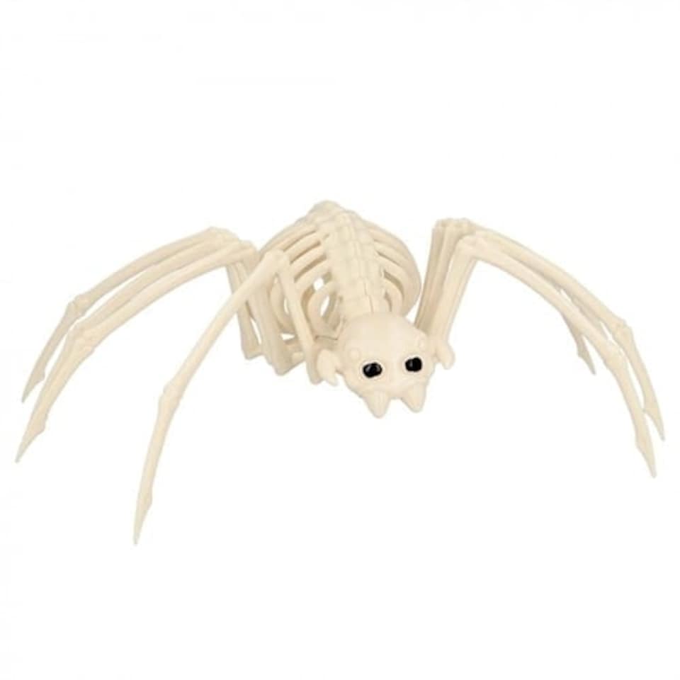 image 1 of Spider Skeleton Halloween Plastic Prop Decoration 35cm