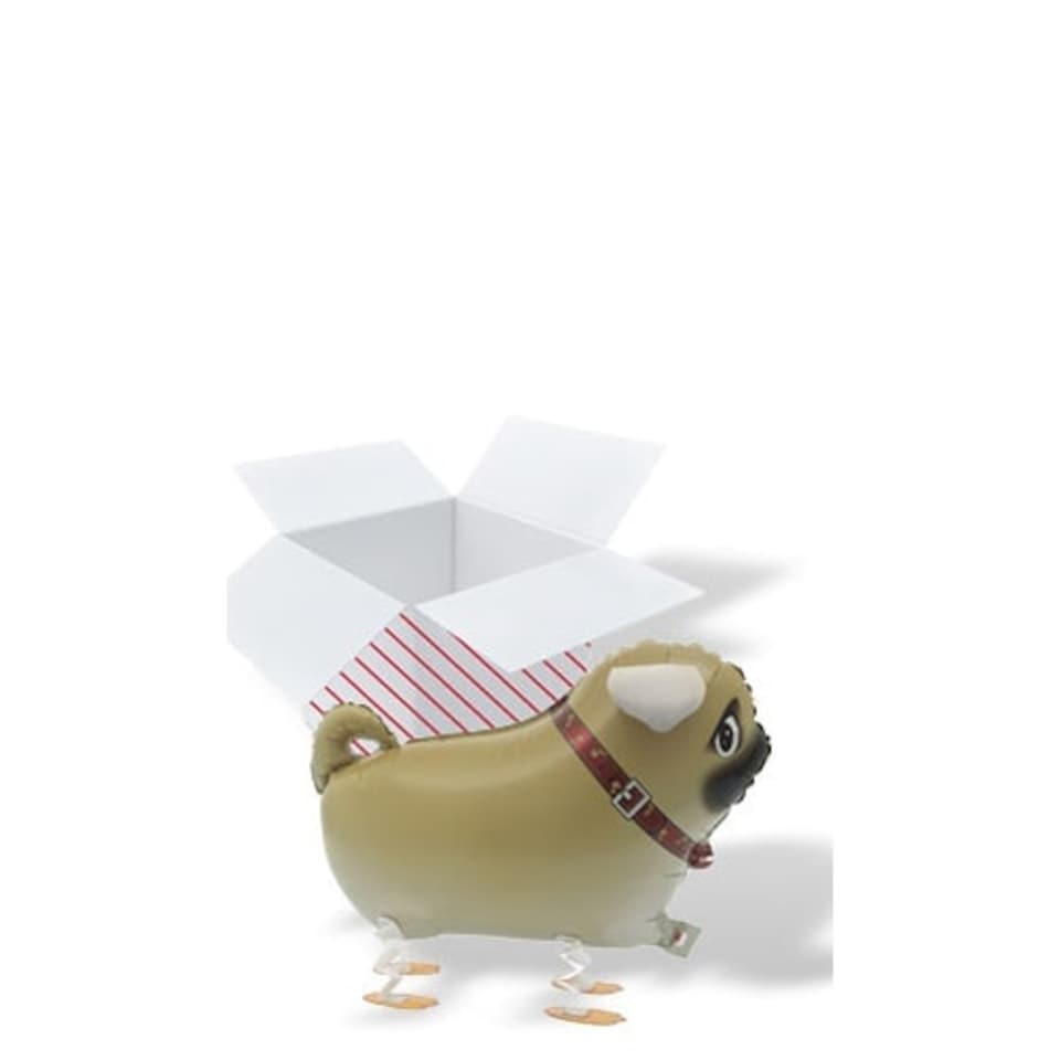 Walking Pet Pug Foil Helium Balloon - Inflated Balloon in a Box
