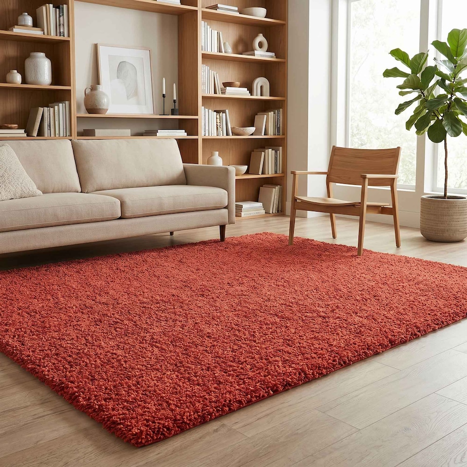 image 1 of Desire Rugs Ainsley Plain Living Room Shaggy Area Rug