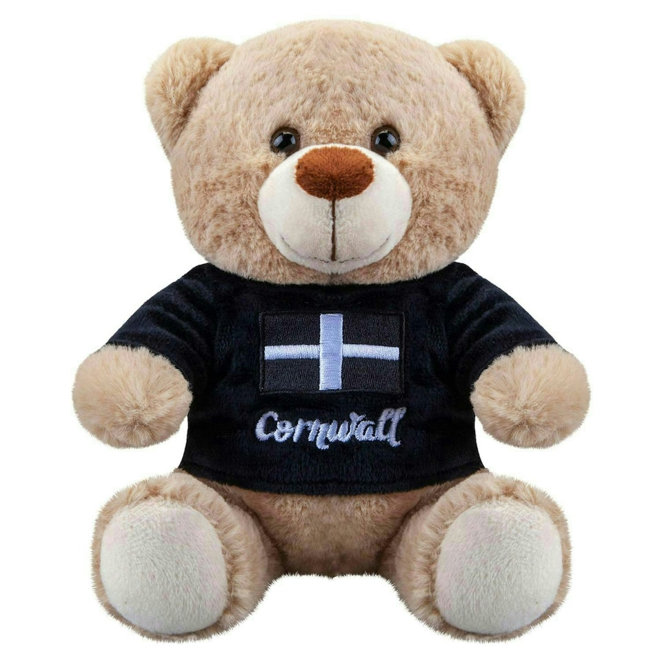 image 1 of Cornwall Bear Soft Toy Cute Plushie Huggable Cuddly Stuffed Toy Gift 20cm Black