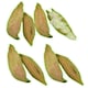 image 1 of 4pk Small Animals Hamsters, Mice, Gerbils Naturals Play n Bedding Pods