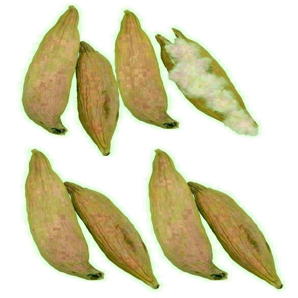 image 1 of 4pk Small Animals Hamsters, Mice, Gerbils Naturals Play n Bedding Pods