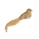 image 2 of Decorative Gold Velvet Bird With Clip - 30cm