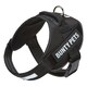 image 3 of Dog Body Harness - Bunty Yukon Harness Pink | S