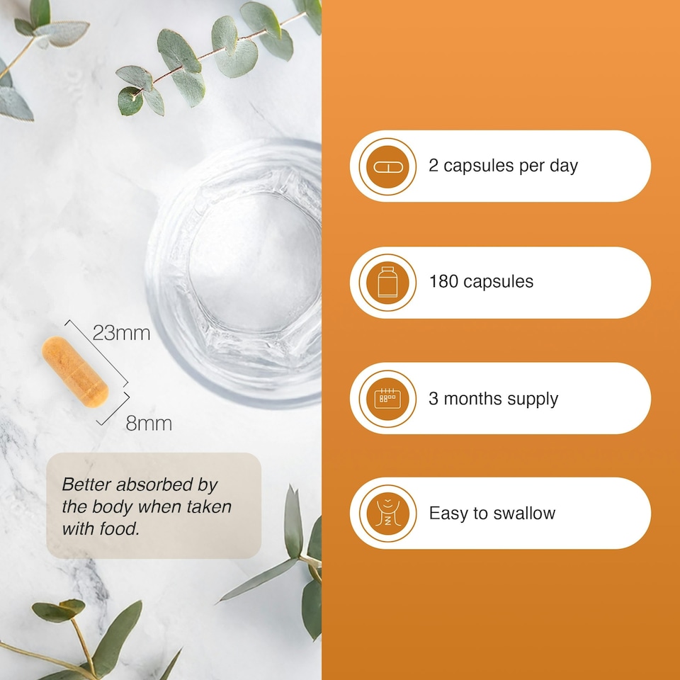 image 1 of Zipvit Turmeric & Glucosamine Complex, Joint & Bone Support, 90 Capsules