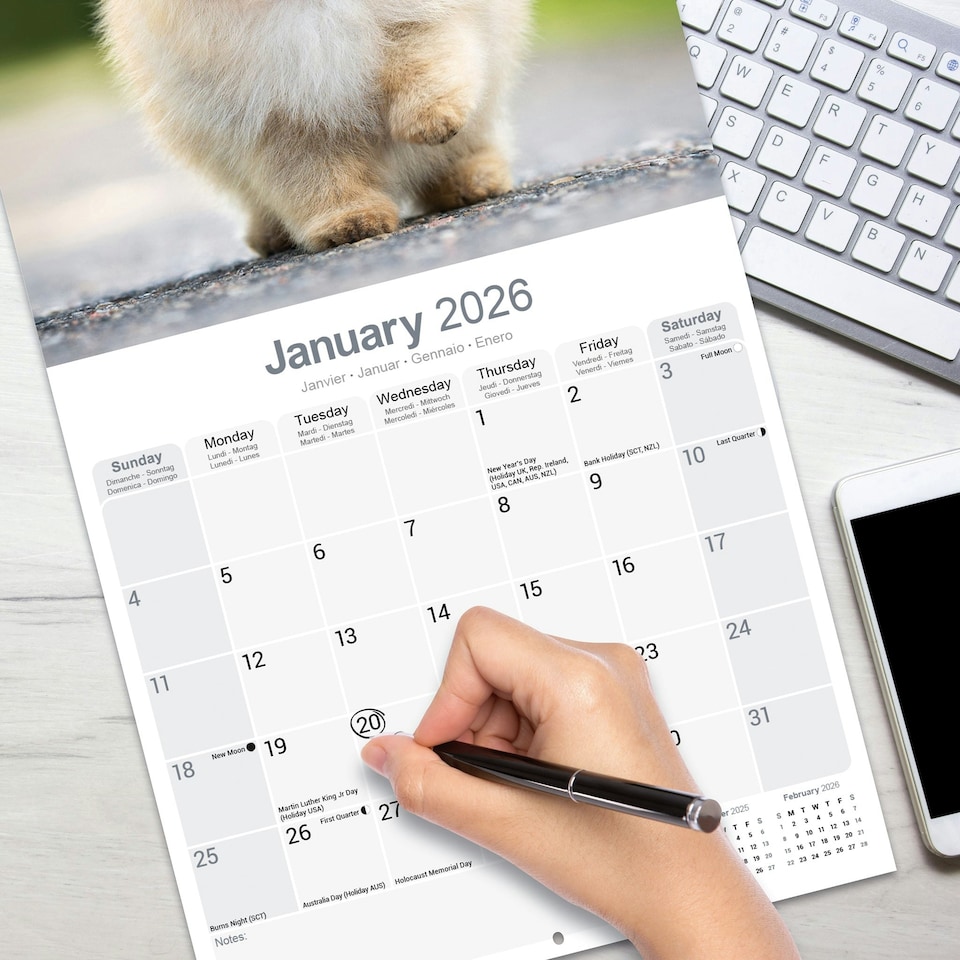 image 1 of Pomeranian 2026 Calendar | Square Wall Calendar | Dog Breed Gift | Plastic Free Packaging | by Avonside Publishing