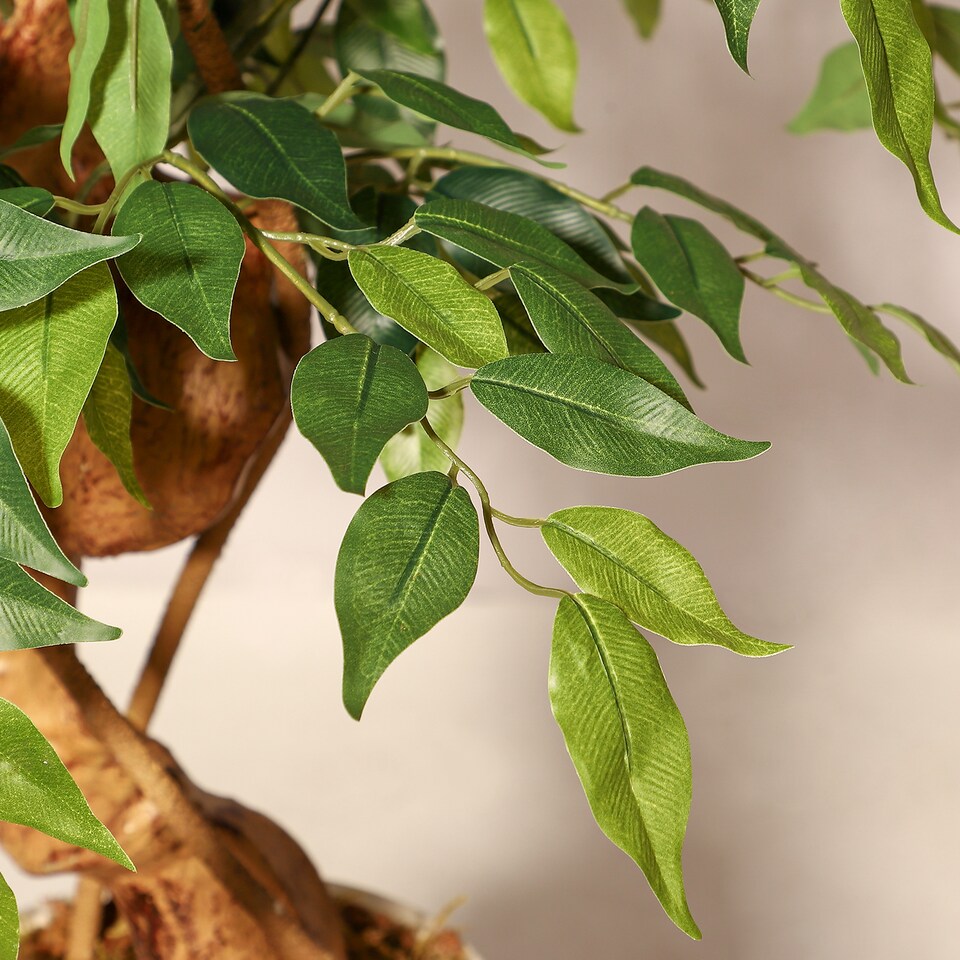 image 1 of London Boutique 180cm 6FT Artificial Ficus Tree Lifelike Faux Ficus Benjamina Plant Twisted Stem Weeping Fig