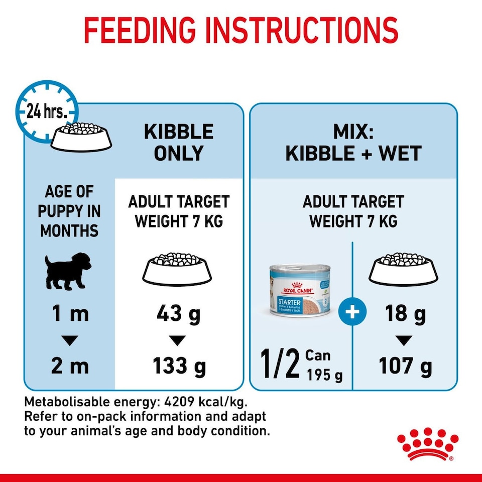 image 1 of Royal Canin Mini Starter Mother & Babydog Dry Food for Small Breeds - 4 kg | Multi | 4kg | 1