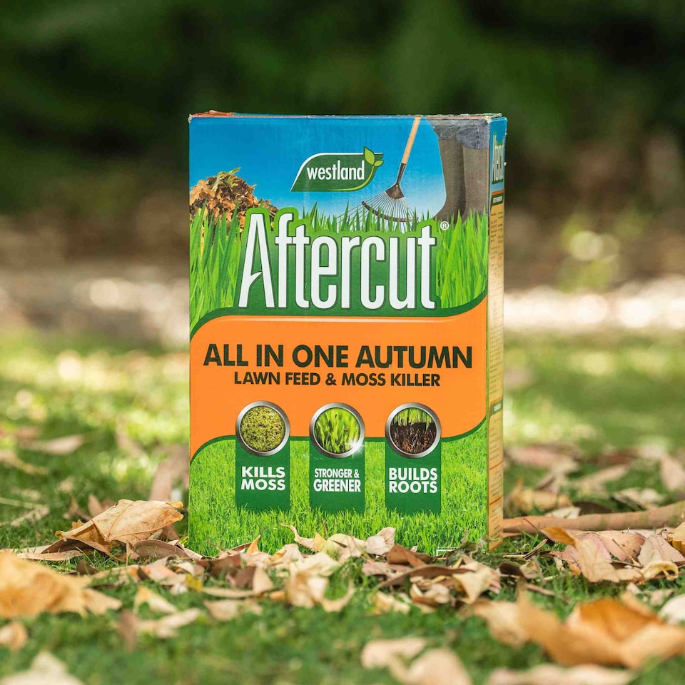 image 1 of Aftercut All-in-One Autumn Lawn Feed and Moss Killer 0.1 kg