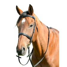 Kincade Classic Leather Horse Cavesson Bridle With Reins - Black - Warmblood