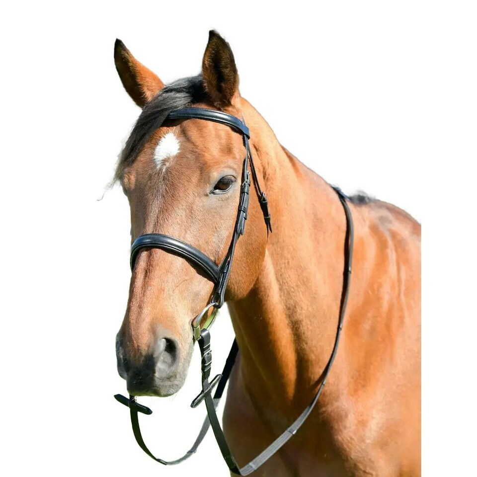 Kincade Classic Leather Horse Cavesson Bridle With Reins - Black - Warmblood