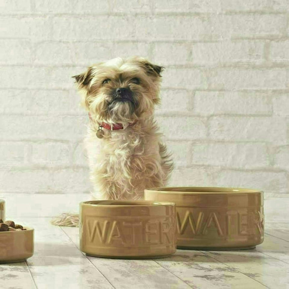 image 1 of Mason Cash Cane Lettered Stoneware Water Bowl 15 cm