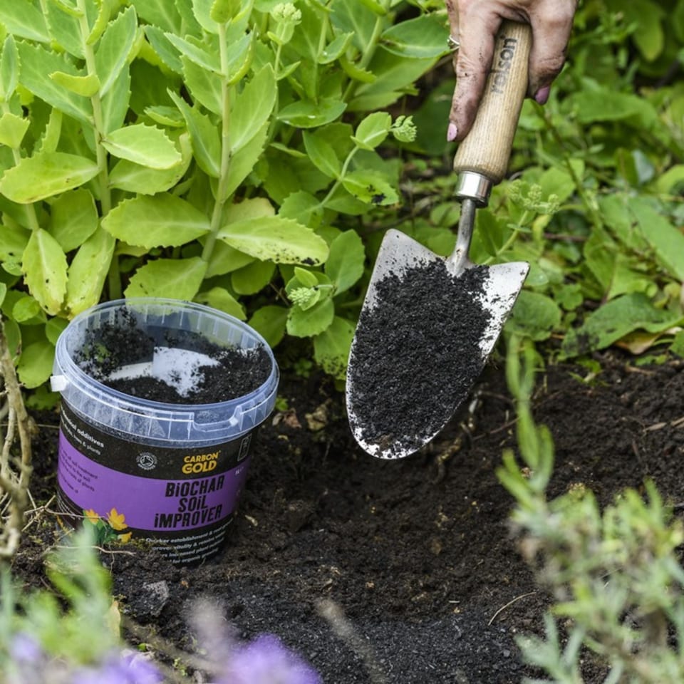 image 1 of Carbon Gold Biochar Soil Improver, UK-sourced, Soil Association & Biodynamic Association Certified 1 litre