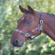 image 5 of Shires Blenheim Leather Polo Headcollar Blue | Colour: Purple/Natural/Navy
Size: Full