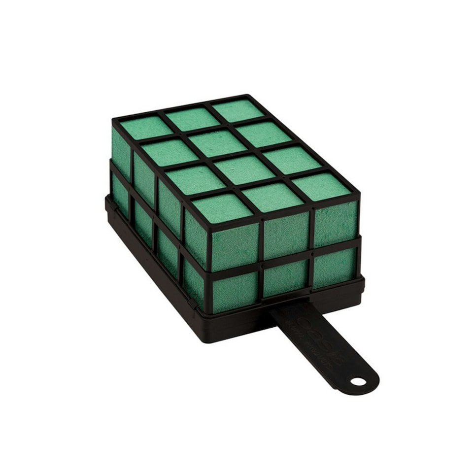 Oasis Bio Floral Foam Bricks - Black/Green - One Size