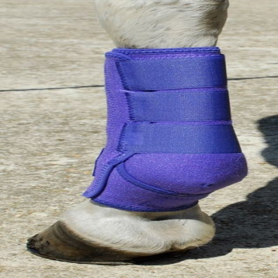 image 1 of Rhinegold Sports Medicine Boot Blue | Size: Pony
Colour: Royal Blue