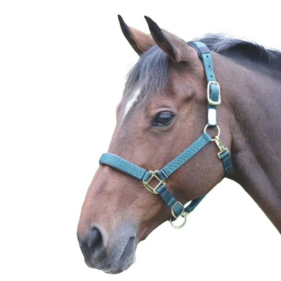 Shires Topaz Nylon Horse Headcollar - Dark Green - Full